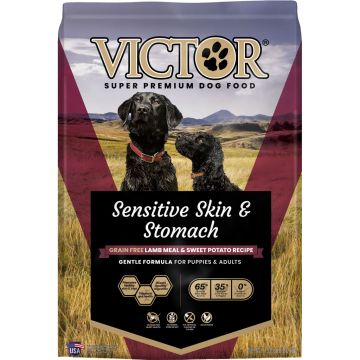 VICTOR2921 Image 1