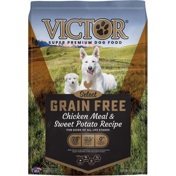 VICTOR5245 Image 1