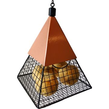 WILSCI761 Image 1