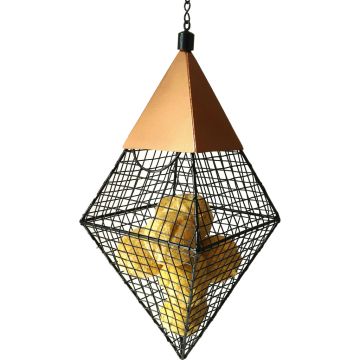 WILSCI762 Image 1
