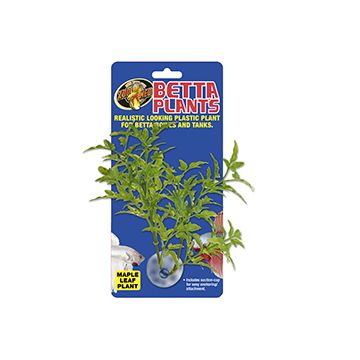 ZOOMEDBP24 Image 1