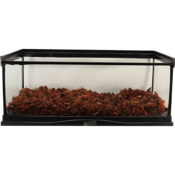 ZOOMEDEE11 Image 1