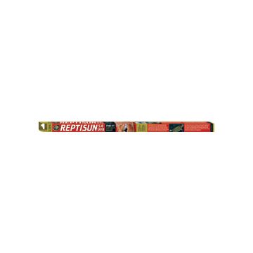 ZOOMEDFS24 Image 1