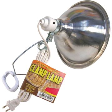 ZOOMEDLF5 Image 1