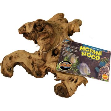 ZOOMEDMAM Image 1