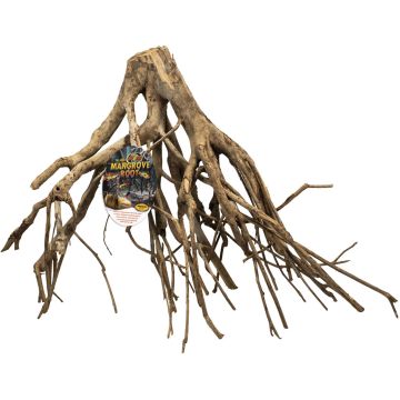 ZOOMEDMRM Image 1