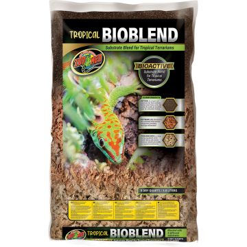 ZOOMEDTBB8 Image 1