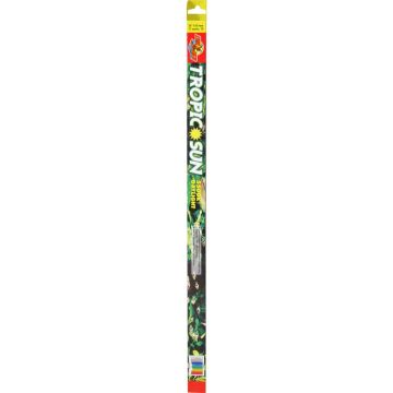 ZOOMEDTL24 Image 1