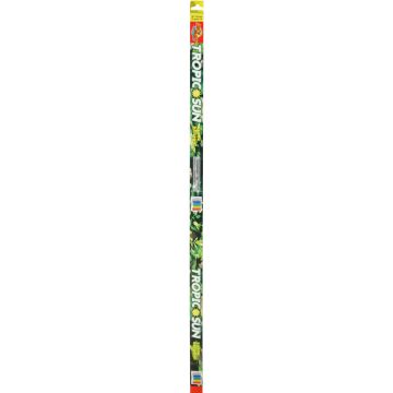 ZOOMEDTL36 Image 1