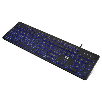 Adesso Large Print Illuminated Desktop Keyboard
