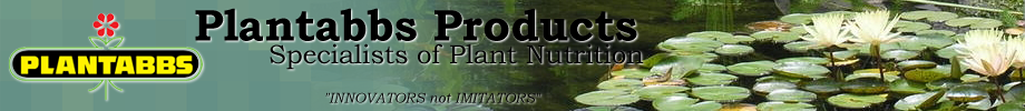 Brand Thumbnail
