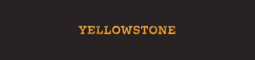 Brand Banner